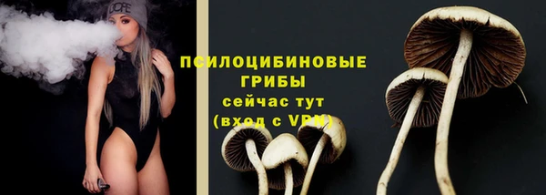 прущие крисы Михайлов