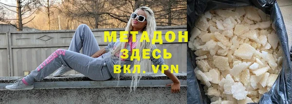 прущие грибы Михайловка