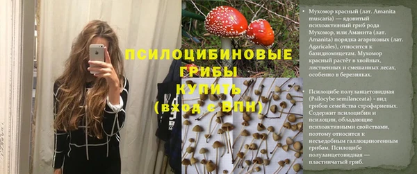 прущие крисы Михайлов