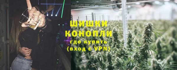прущие грибы Михайловка