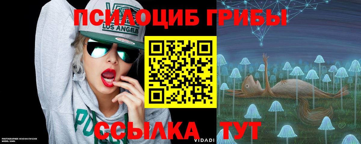 Псилоцибиновые грибы мицелий  Вход с VPN  Изобильный  Псилоцибиновые грибы Magic Shrooms 