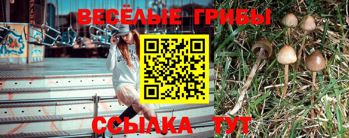 Галлюциногенные грибы ЛСД Изобильный